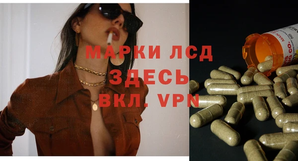 сатива Алексеевка