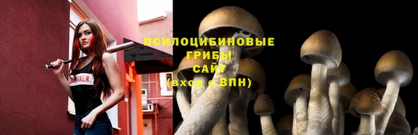 соль ск Алзамай