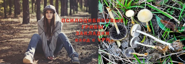 соль ск Алзамай