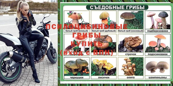 ешки Алексин