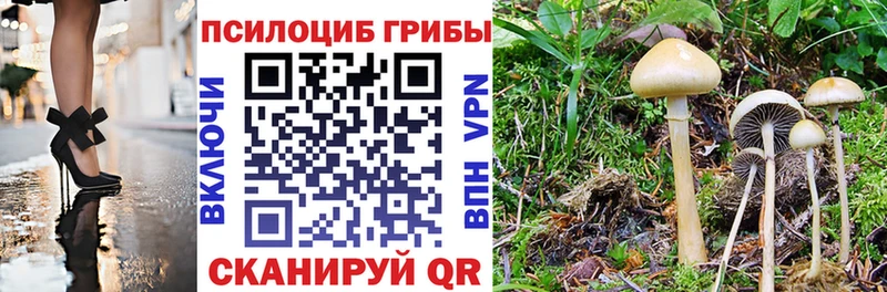 Галлюциногенные грибы прущие грибы  Купить закладки  Красавино 